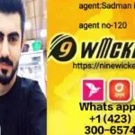 Sadman Islam – 9Wickets Agent